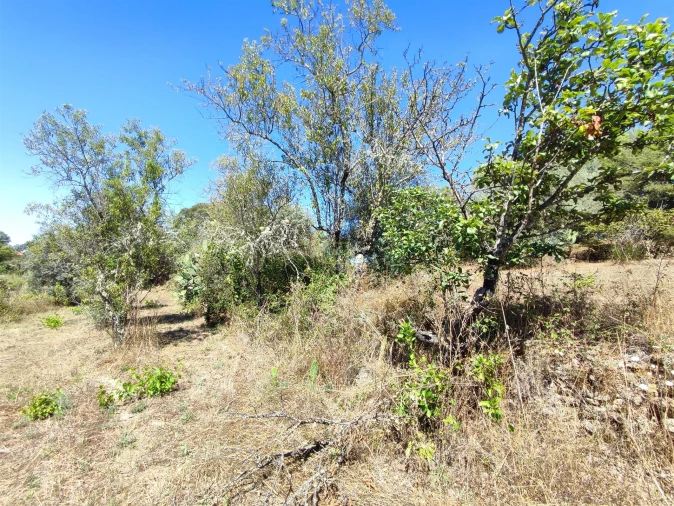 Terreno Agricola ou Rústico para Venda em Aldeia do Bispo, Águas e Aldeia de João Pires Foto 10