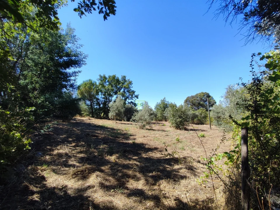 Terreno Agricola ou Rústico para Venda em Aldeia do Bispo, Águas e Aldeia de João Pires Foto 2