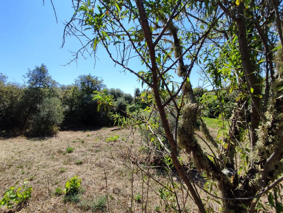 Terreno Agricola ou Rústico para Venda em Aldeia do Bispo, Águas e Aldeia de João Pires Foto 8