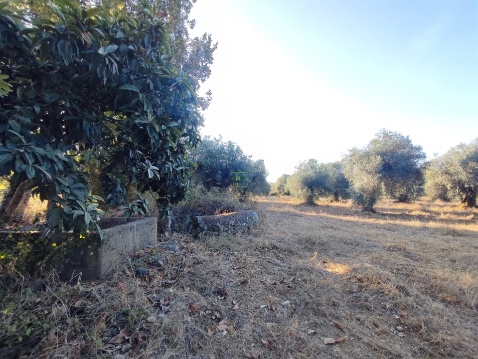 Terreno Agricola ou Rústico para Venda em Penamacor Foto 15