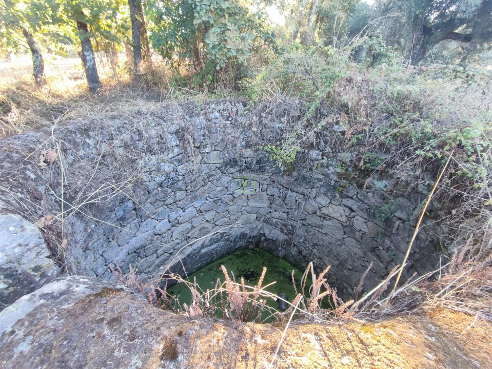 Terreno Agricola ou Rústico para Venda em Penamacor Foto 17