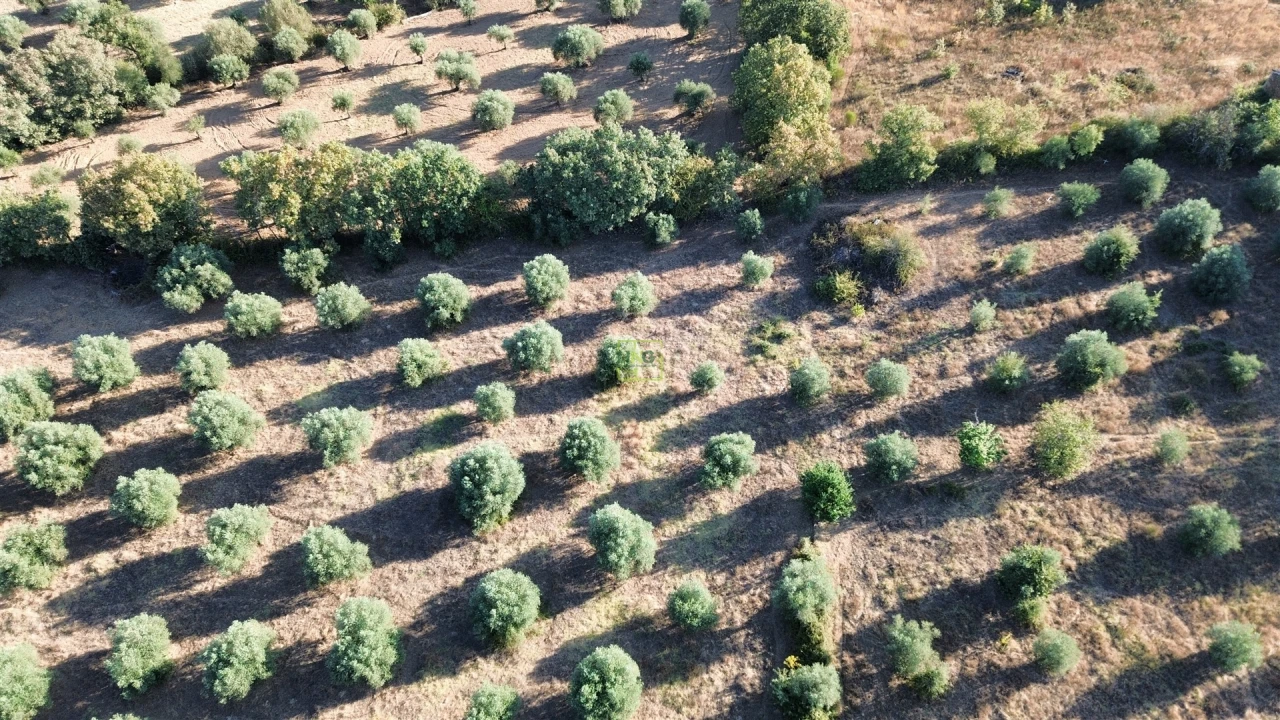 Terreno Agricola ou Rústico para Venda em Penamacor Foto 24