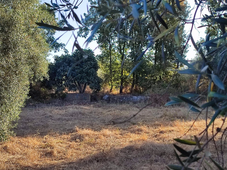Terreno Agricola ou Rústico para Venda em Penamacor Foto 18