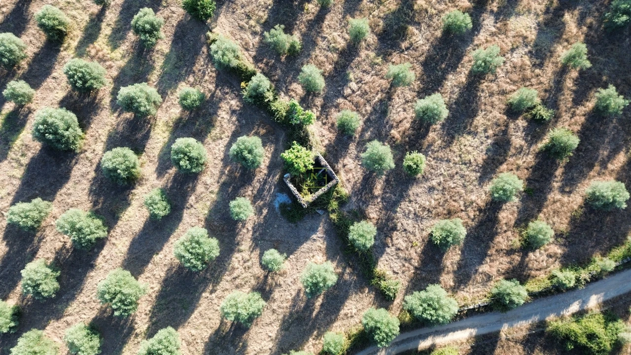 Terreno Agricola ou Rústico para Venda em Penamacor Foto 10
