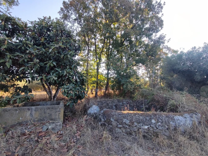 Terreno Agricola ou Rústico para Venda em Penamacor Foto 14