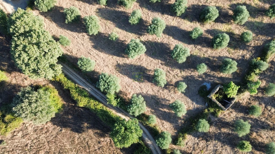 Terreno Agricola ou Rústico para Venda em Penamacor Foto 25