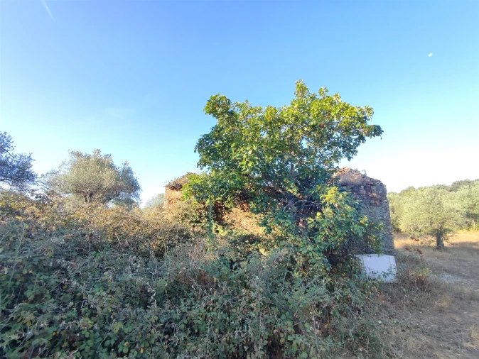 Terreno Agricola ou Rústico para Venda em Penamacor Foto 11