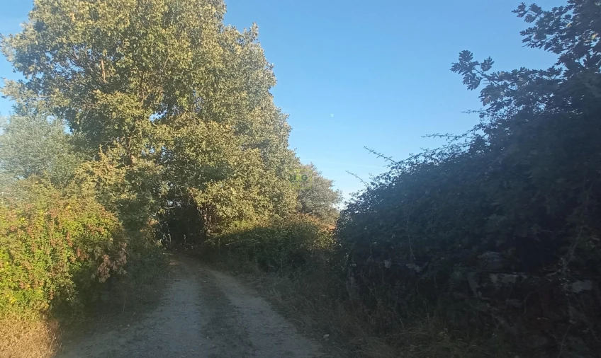 Terreno Agricola ou Rústico para Venda em Penamacor Foto 28
