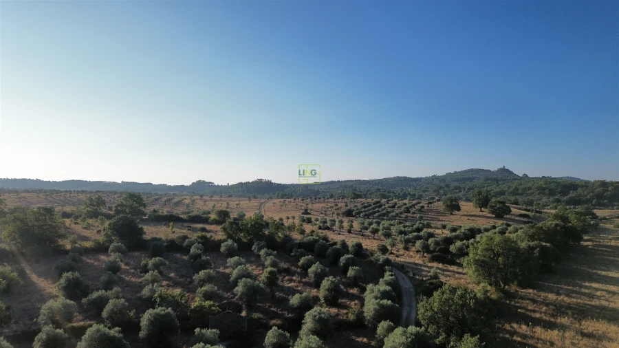 Terreno Agricola ou Rústico para Venda em Penamacor Foto 27