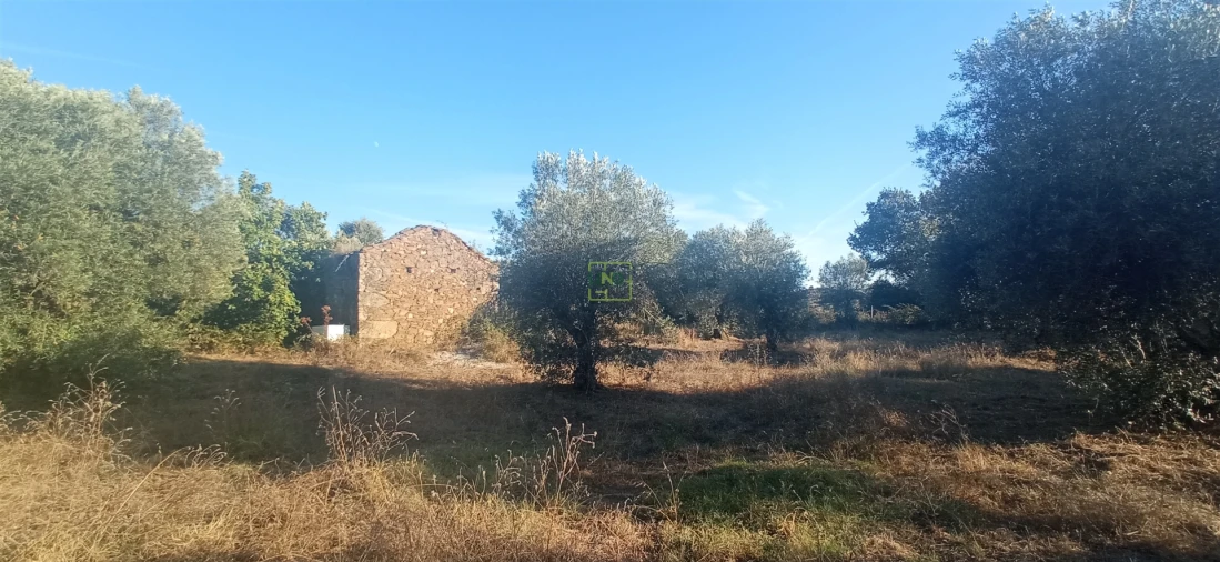 Terreno Agricola ou Rústico para Venda em Penamacor Foto 3