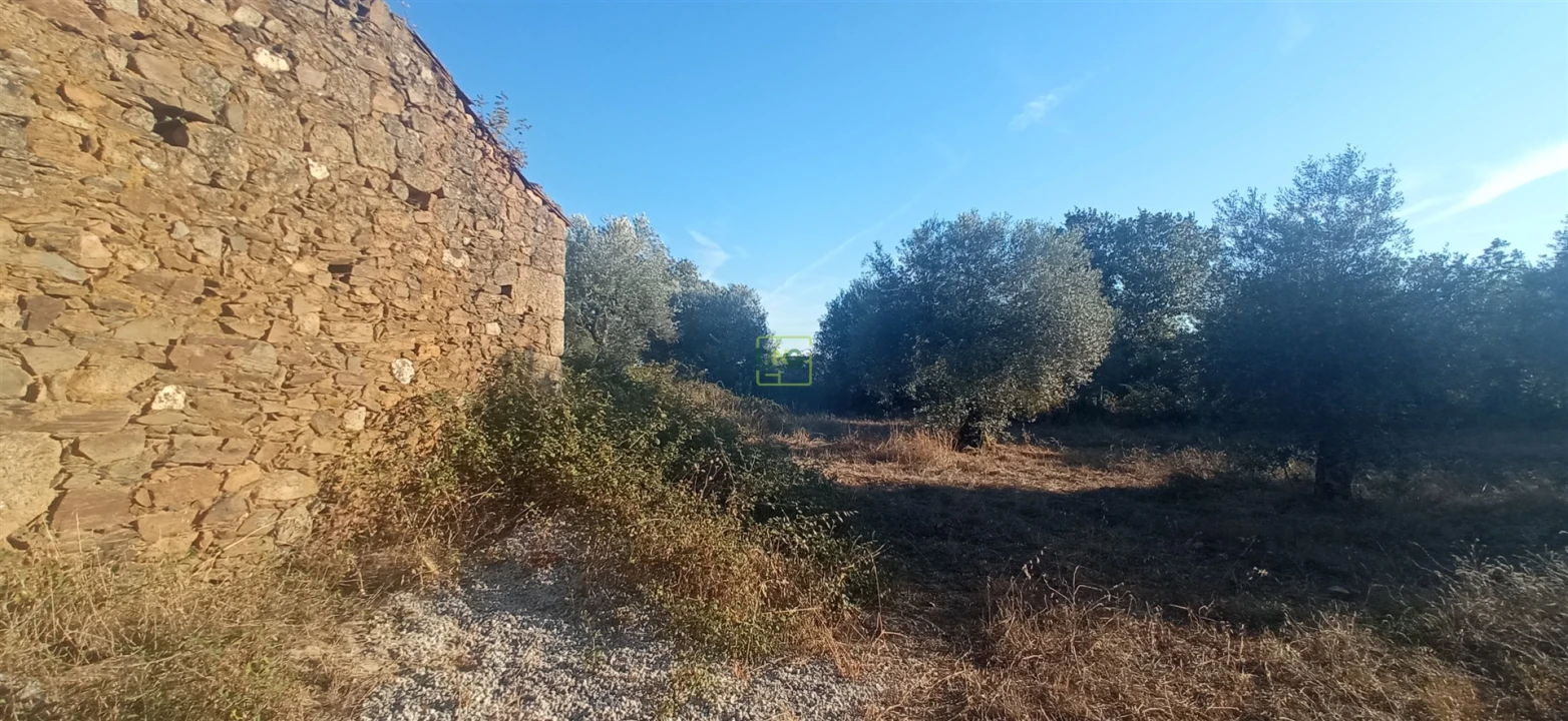 Terreno Agricola ou Rústico para Venda em Penamacor Foto 4