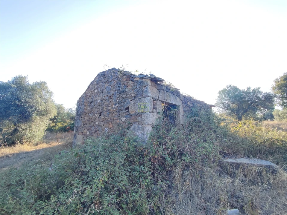Terreno Agricola ou Rústico para Venda em Penamacor Foto 1