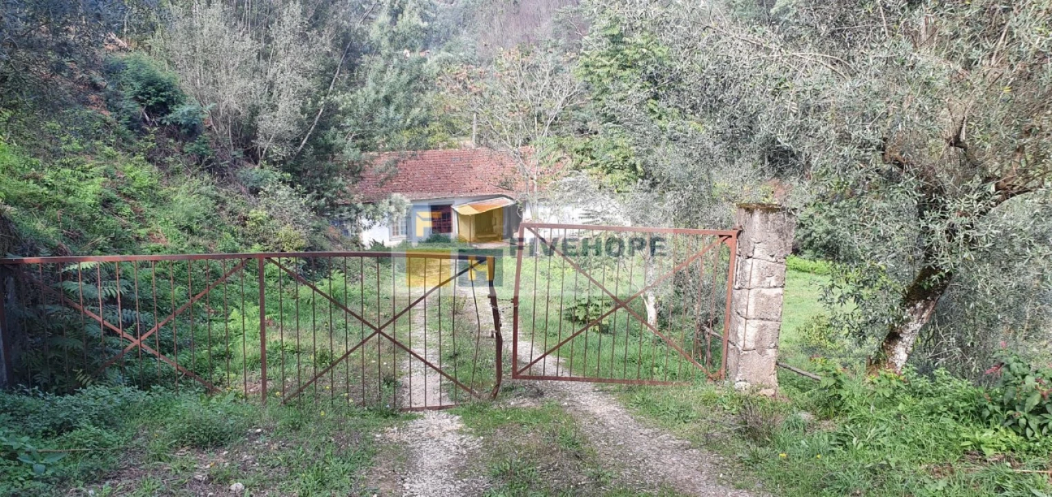 Quinta T2 para Venda em Torres do Mondego Foto 2