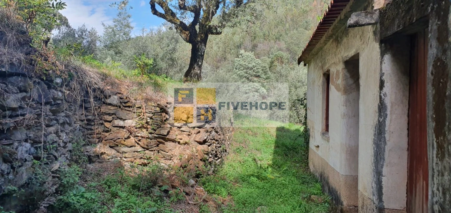 Quinta T2 para Venda em Torres do Mondego Foto 6