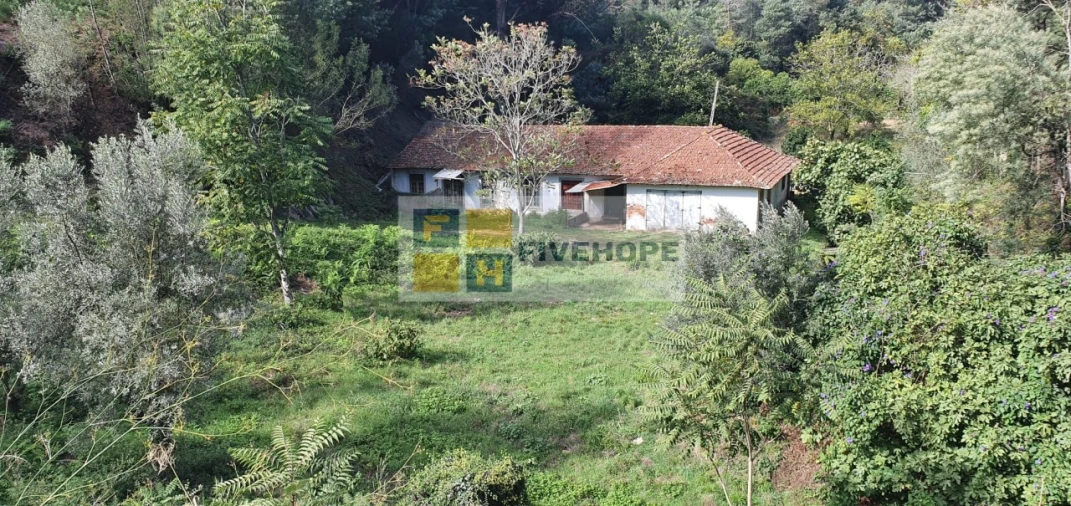 Quinta T2 para Venda em Torres do Mondego Foto 3