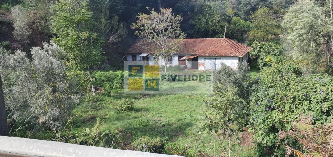 Quinta T2 para Venda em Torres do Mondego Foto 5