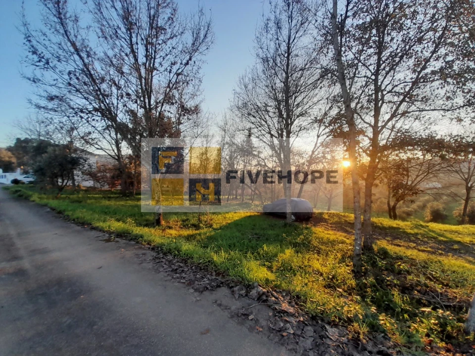 Terreno para Venda em Lousã e Vilarinho Foto 6
