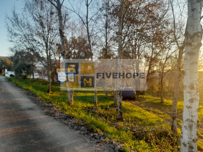Terreno para Venda em Lousã e Vilarinho Foto 4