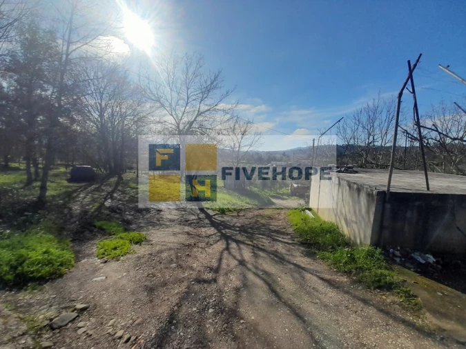 Terreno para Venda em Lousã e Vilarinho Foto 5