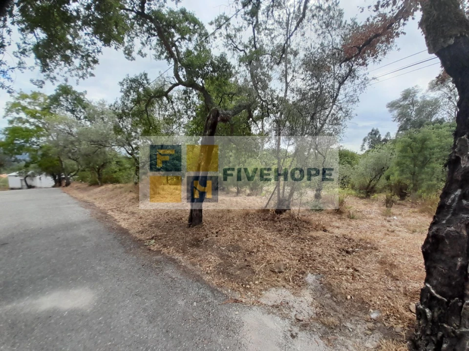 Terreno para Venda em Poiares (Santo Andre) Foto 7