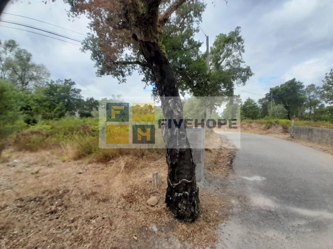 Terreno para Venda em Poiares (Santo Andre) Foto 8