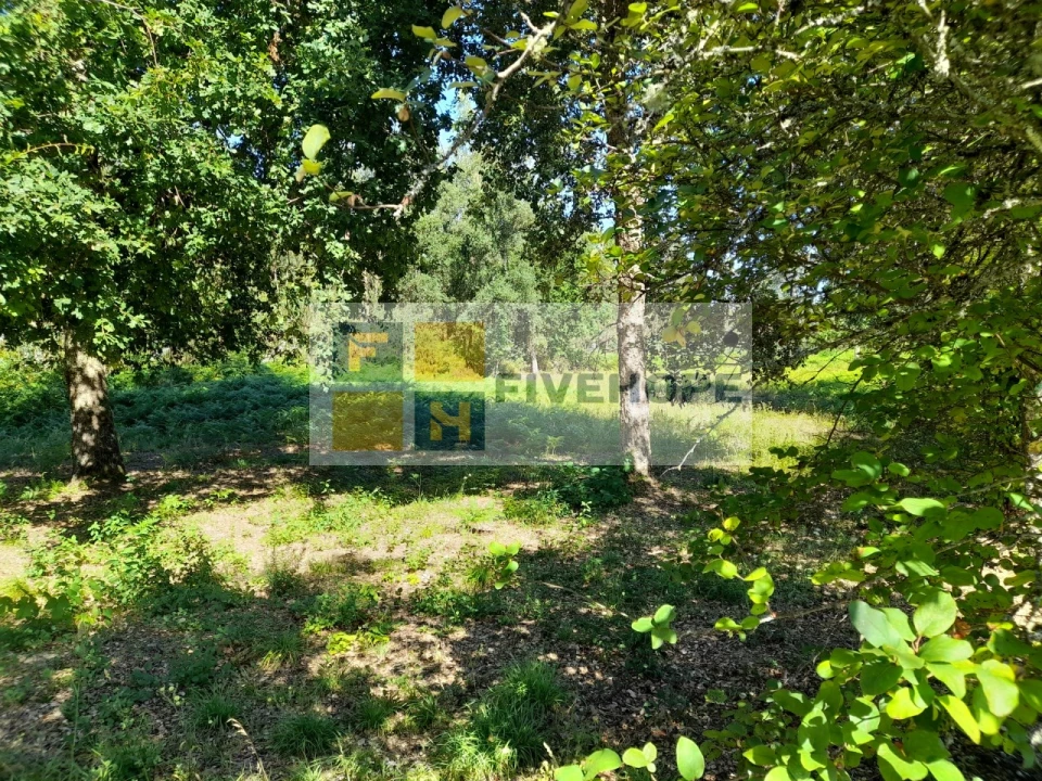 Terreno para Venda em Poiares (Santo Andre) Foto 5