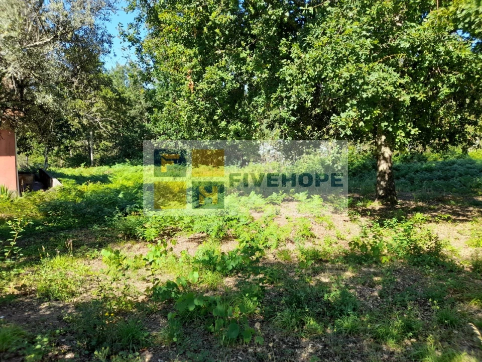 Terreno para Venda em Poiares (Santo Andre) Foto 6