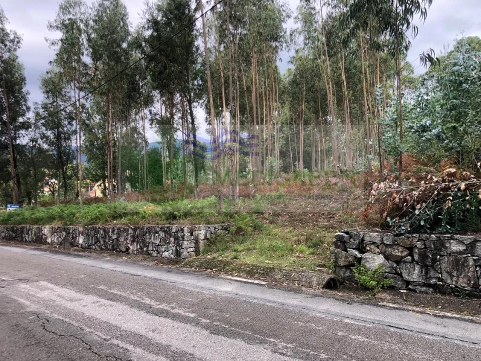Terreno para Venda em Silva Escura e Dornelas Foto 1