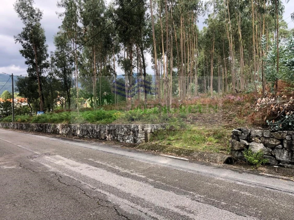Terreno para Venda em Silva Escura e Dornelas Foto 3