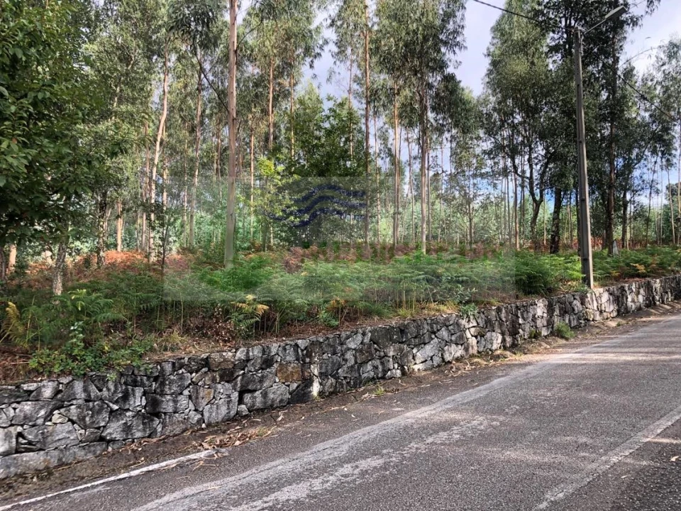 Terreno para Venda em Silva Escura e Dornelas Foto 4