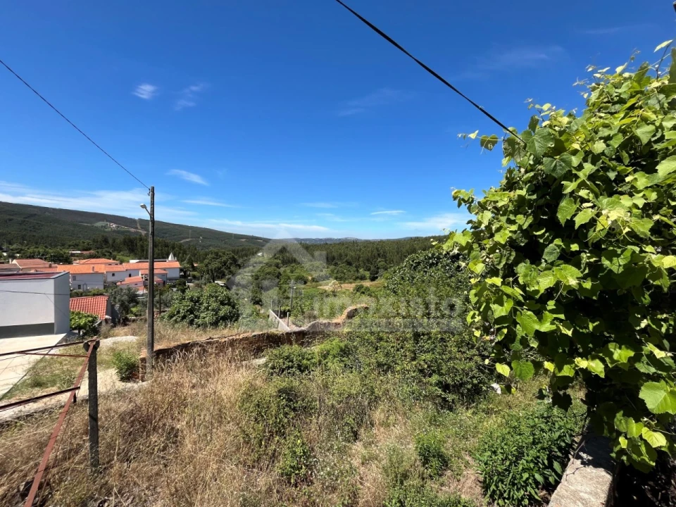 Quinta T4 para Venda em Campelo Foto 12