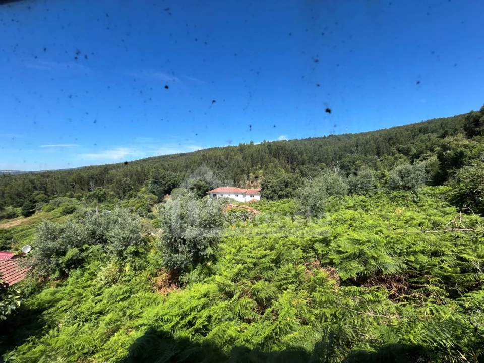 Quinta T4 para Venda em Campelo Foto 45