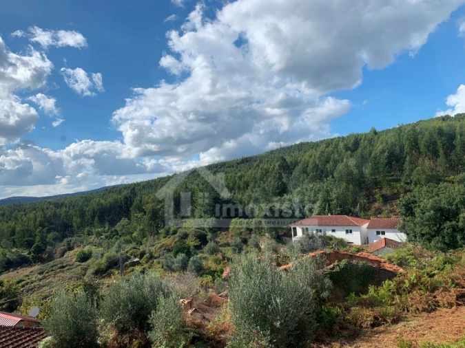 Quinta T4 para Venda em Campelo Foto 43