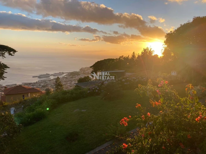 Quinta T5 para Venda em Funchal (Santa Maria Maior) Foto 88
