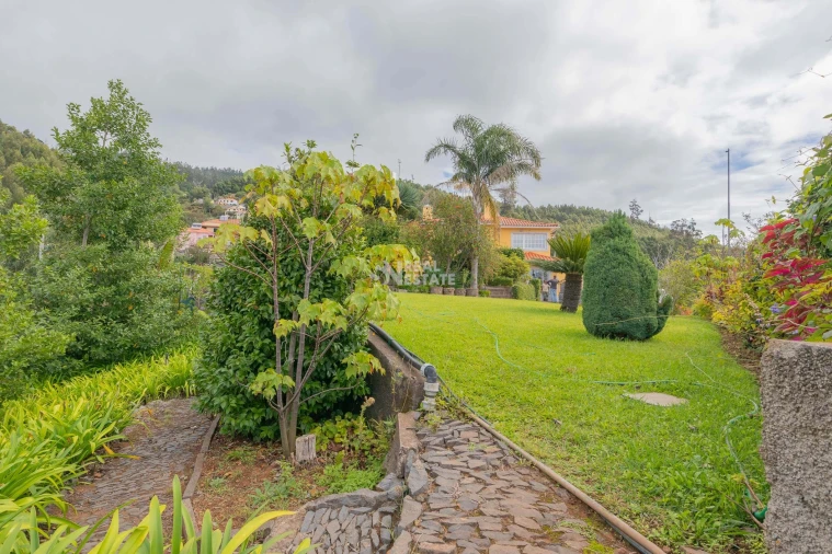 Quinta T5 para Venda em Funchal (Santa Maria Maior) Foto 31