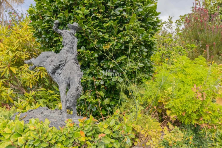 Quinta T5 para Venda em Funchal (Santa Maria Maior) Foto 29