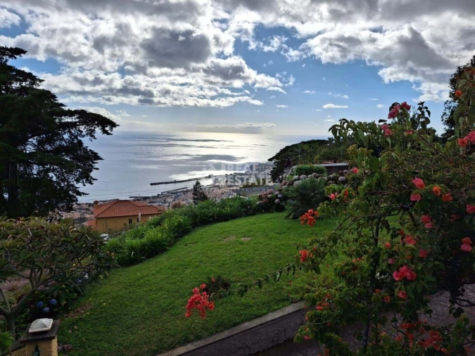 Quinta T5 para Venda em Funchal (Santa Maria Maior) Foto 5