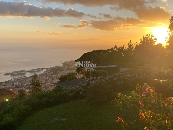 Quinta T5 para Venda em Funchal (Santa Maria Maior) Foto 89