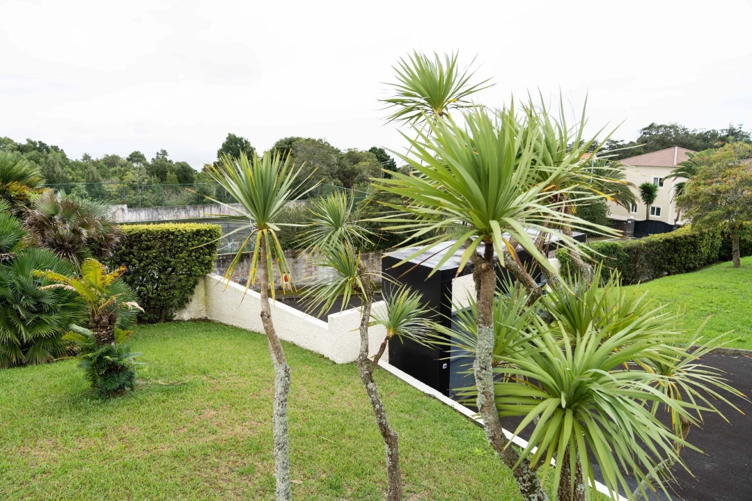 Moradia T4 para Venda em Rosto do Cão (São Roque) Foto 54