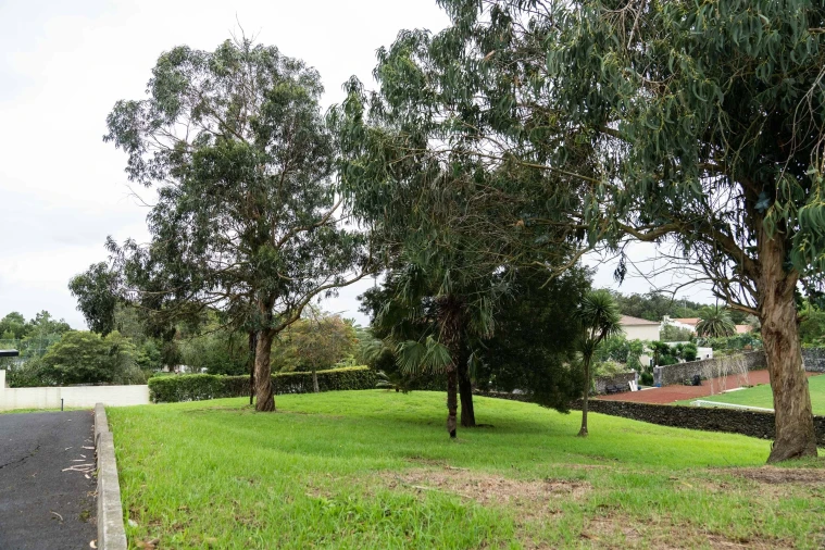 Moradia T4 para Venda em Rosto do Cão (São Roque) Foto 55