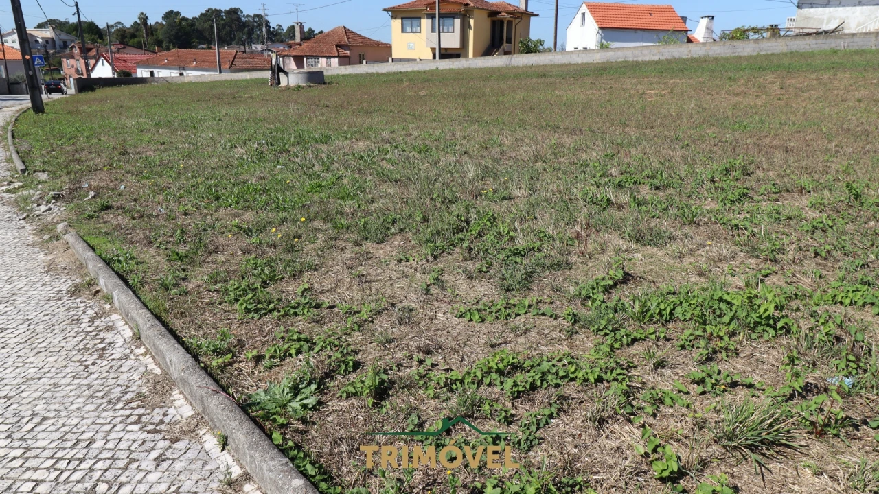 Terreno para Venda em O. Azeméis, Riba-Ul, Ul, Macinhata Seixa, Madail Foto 5