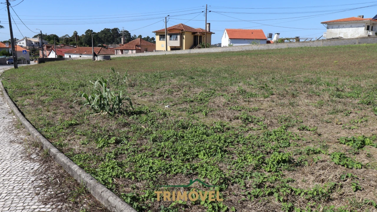 Terreno para Venda em O. Azeméis, Riba-Ul, Ul, Macinhata Seixa, Madail Foto 3