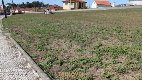 Terreno para Venda em O. Azeméis, Riba-Ul, Ul, Macinhata Seixa, Madail