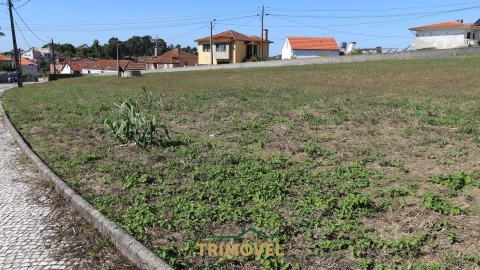 Terreno para Venda em O. Azeméis, Riba-Ul, Ul, Macinhata Seixa, Madail