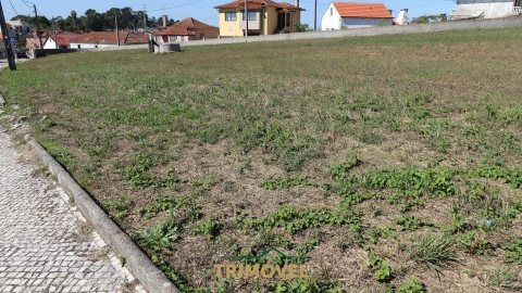 Terreno para Venda em O. Azeméis, Riba-Ul, Ul, Macinhata Seixa, Madail