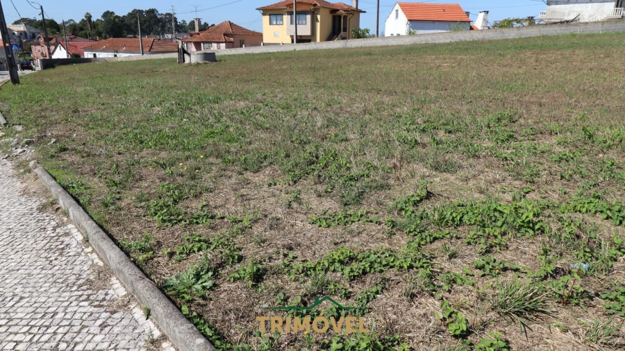 Terreno para Venda em O. Azeméis, Riba-Ul, Ul, Macinhata Seixa, Madail Foto 5