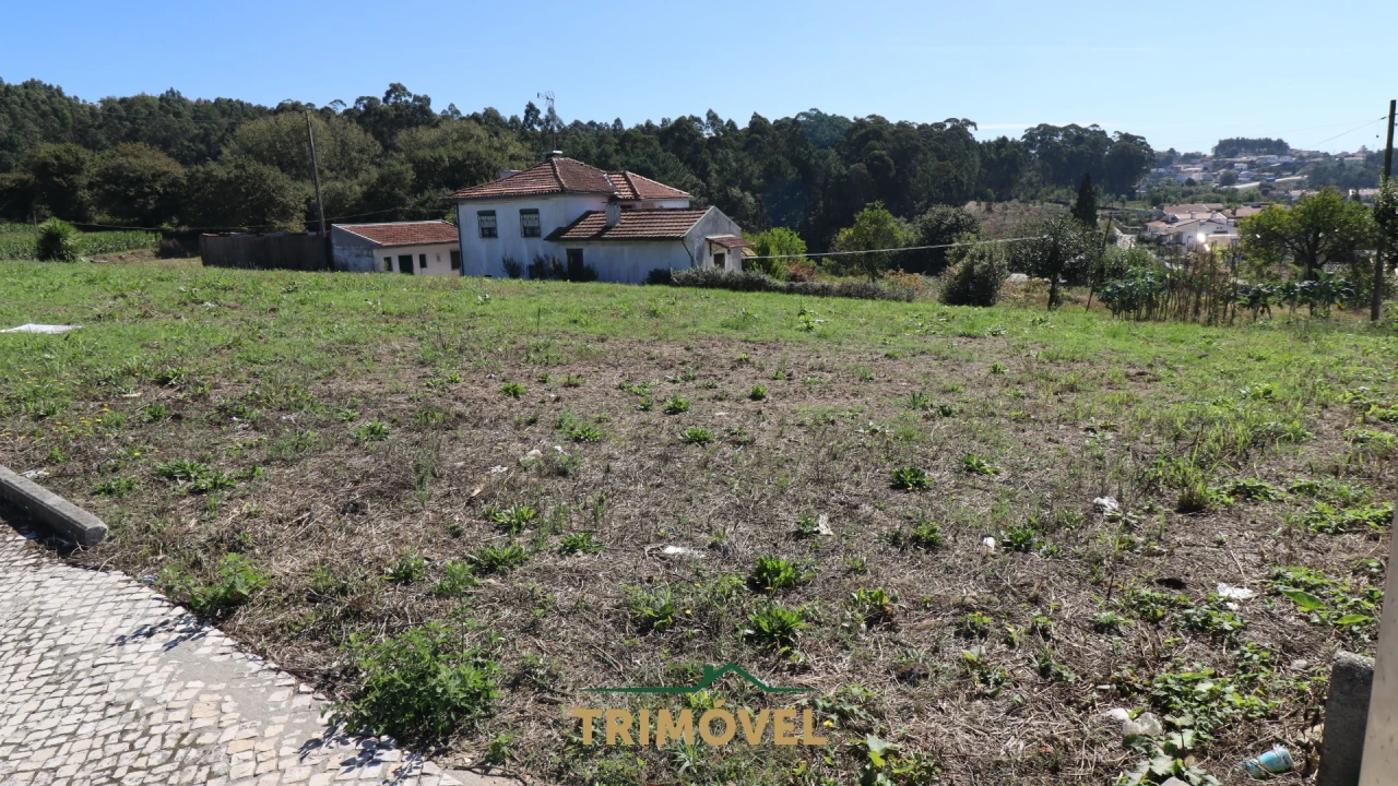 Terreno para Venda em O. Azeméis, Riba-Ul, Ul, Macinhata Seixa, Madail Foto 2