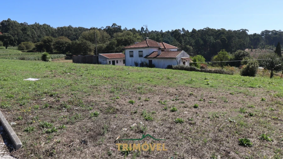 Terreno para Venda em O. Azeméis, Riba-Ul, Ul, Macinhata Seixa, Madail Foto 8