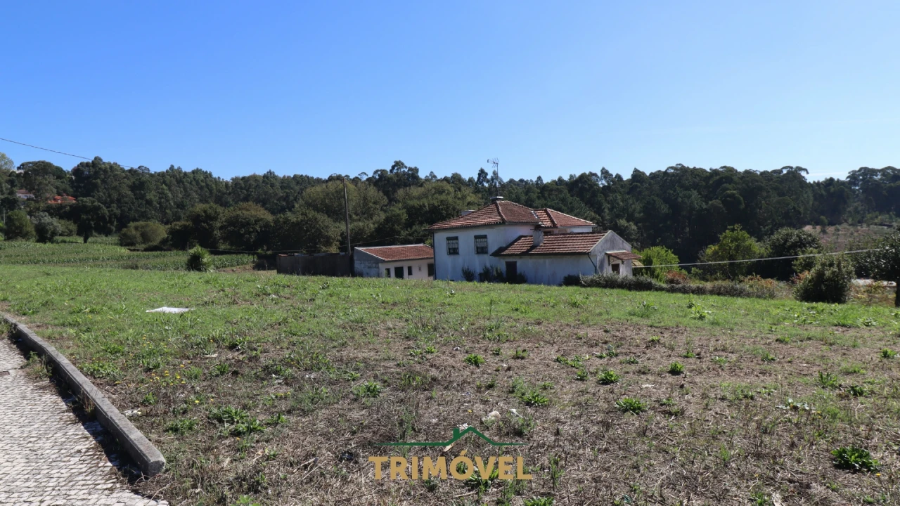 Terreno para Venda em O. Azeméis, Riba-Ul, Ul, Macinhata Seixa, Madail Foto 6