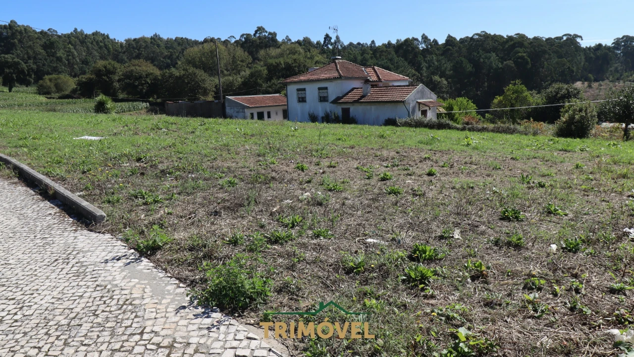 Terreno para Venda em O. Azeméis, Riba-Ul, Ul, Macinhata Seixa, Madail Foto 7